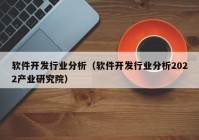 软件开发行业分析（软件开发行业分析2022产业研究院）